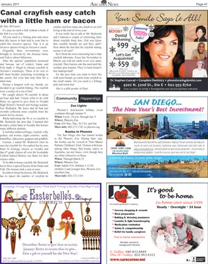 Page 41