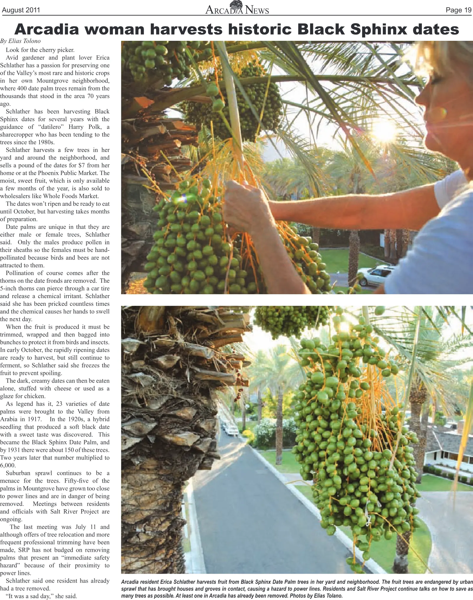 August 2011, page 19