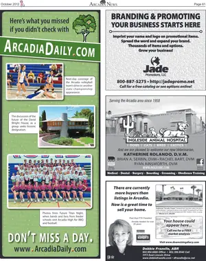 Page 61