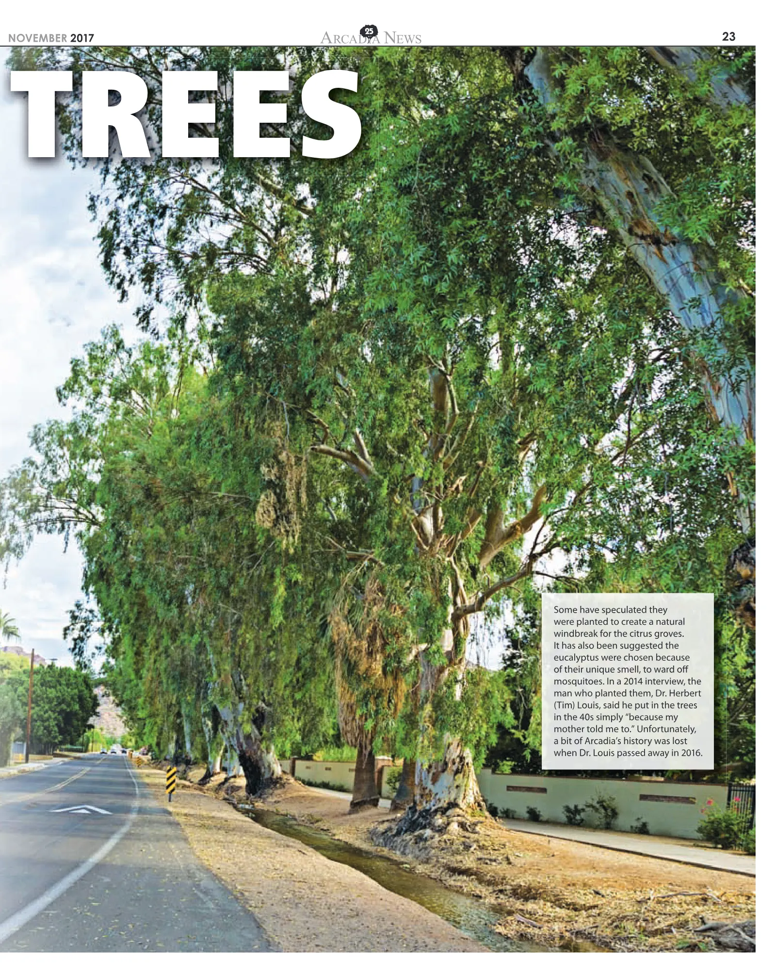 November 2017, page 23