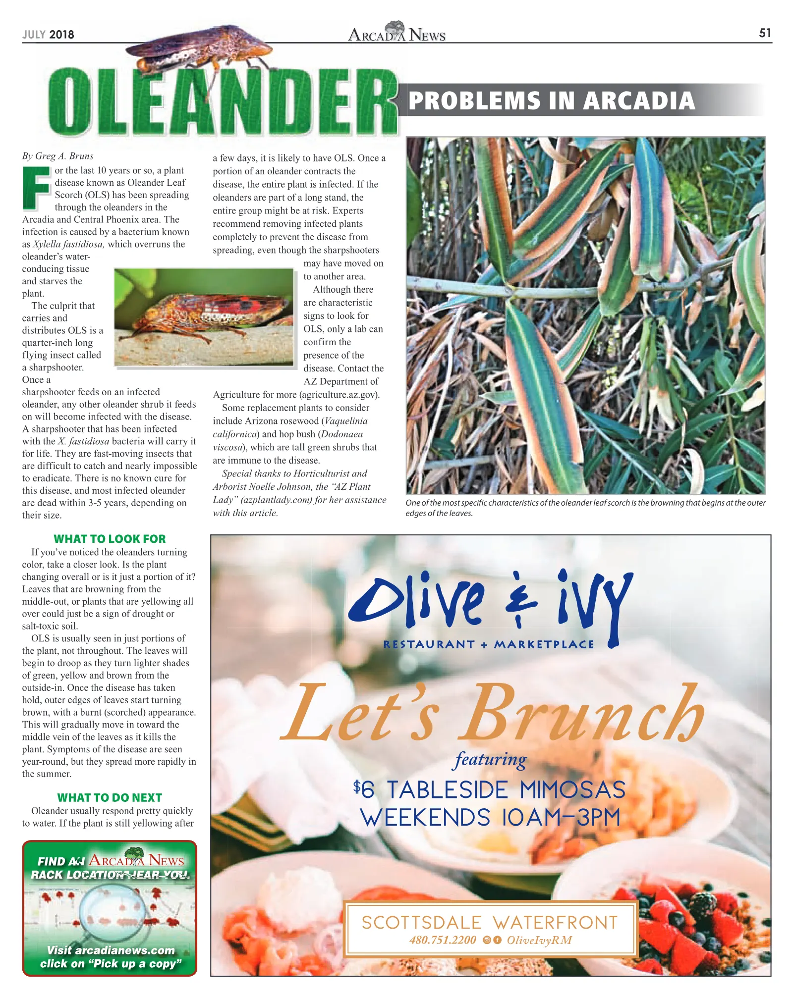July 2018, page 51