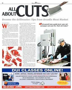 Page 26