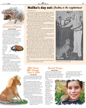 Page 41