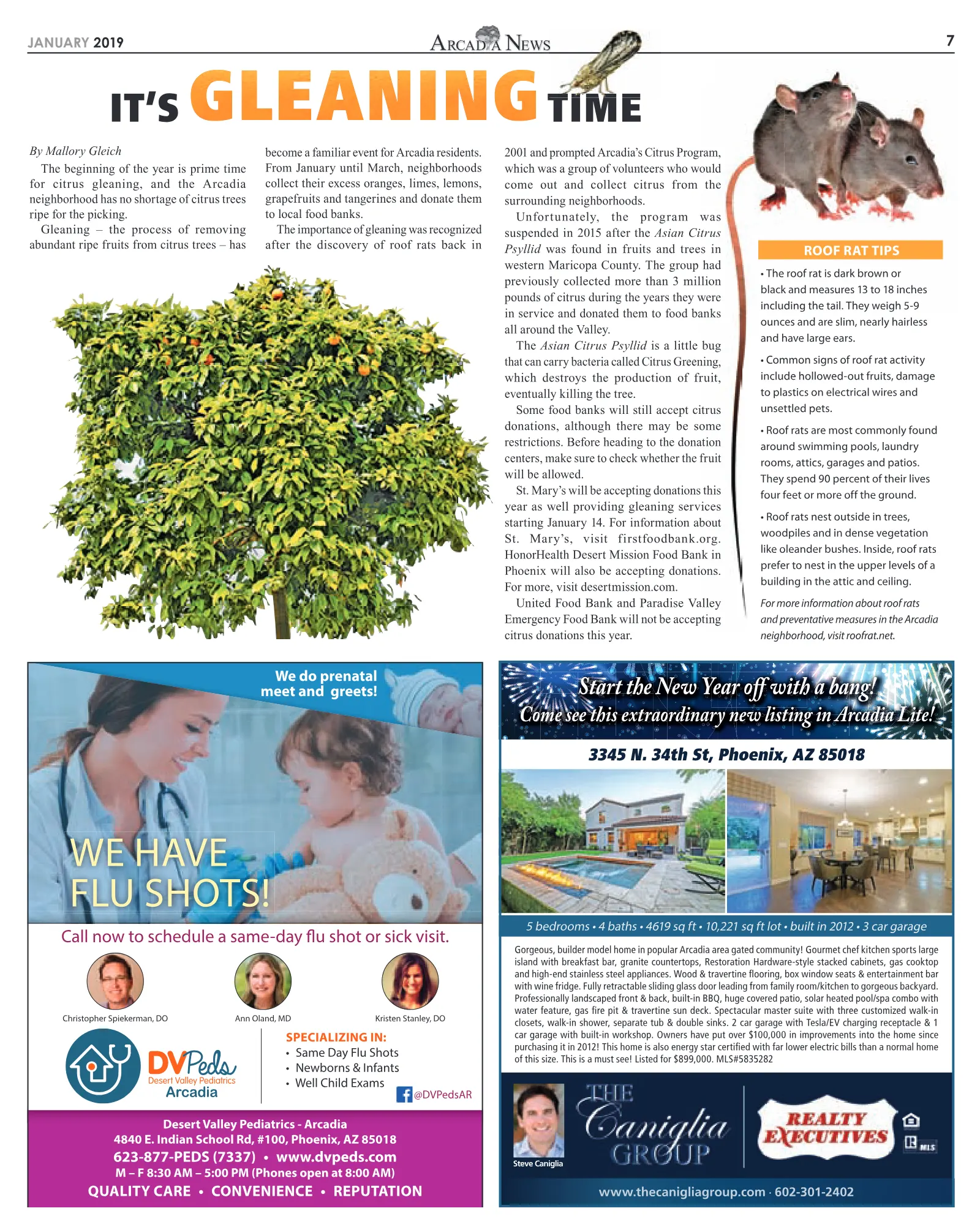 January 2019, page 7