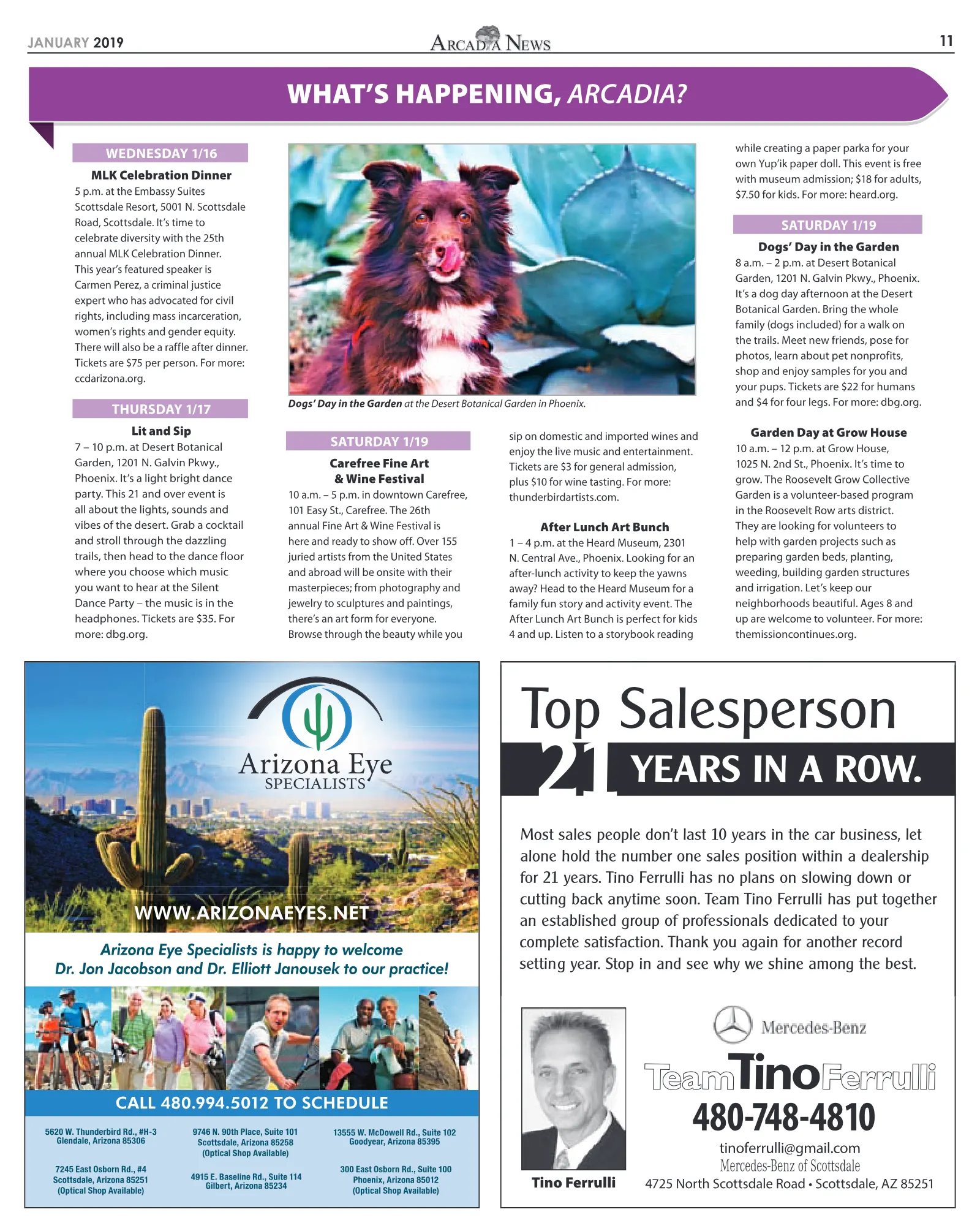 January 2019, page 11
