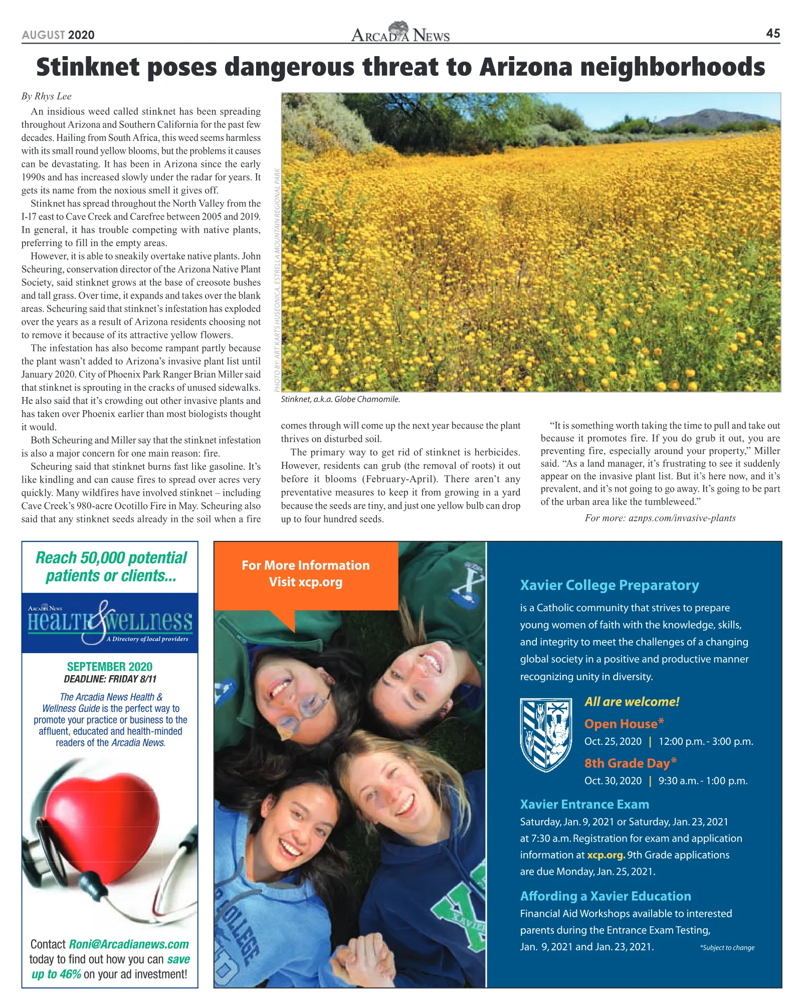 August 2020, page 45
