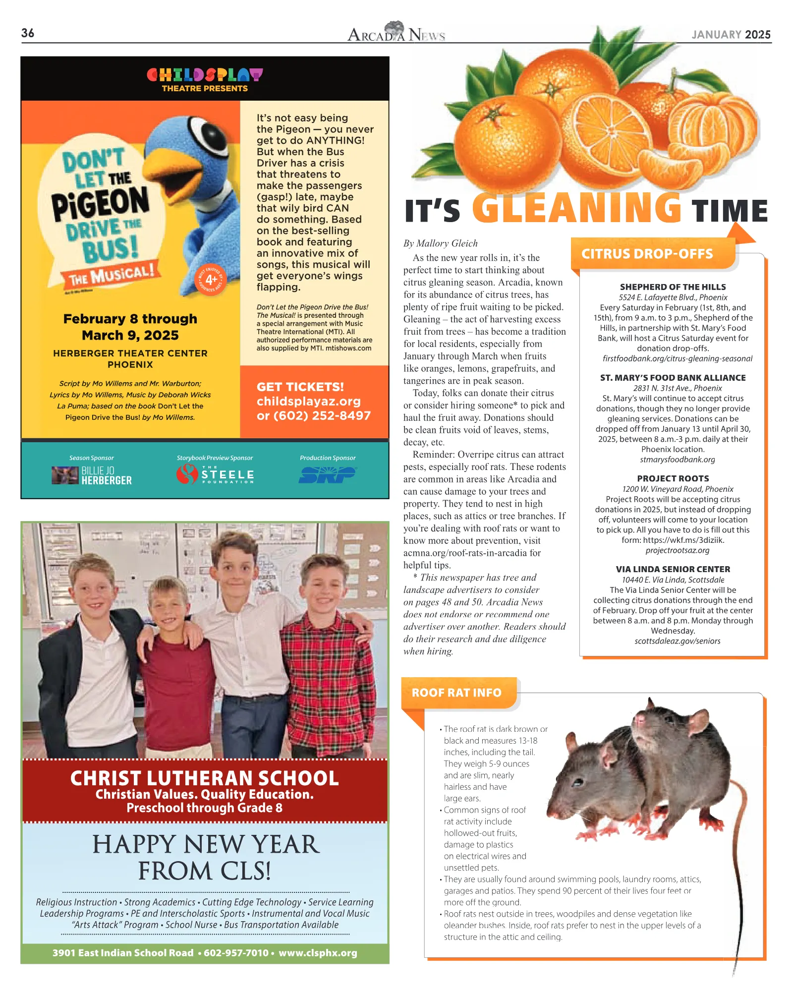 January 2025, page 36