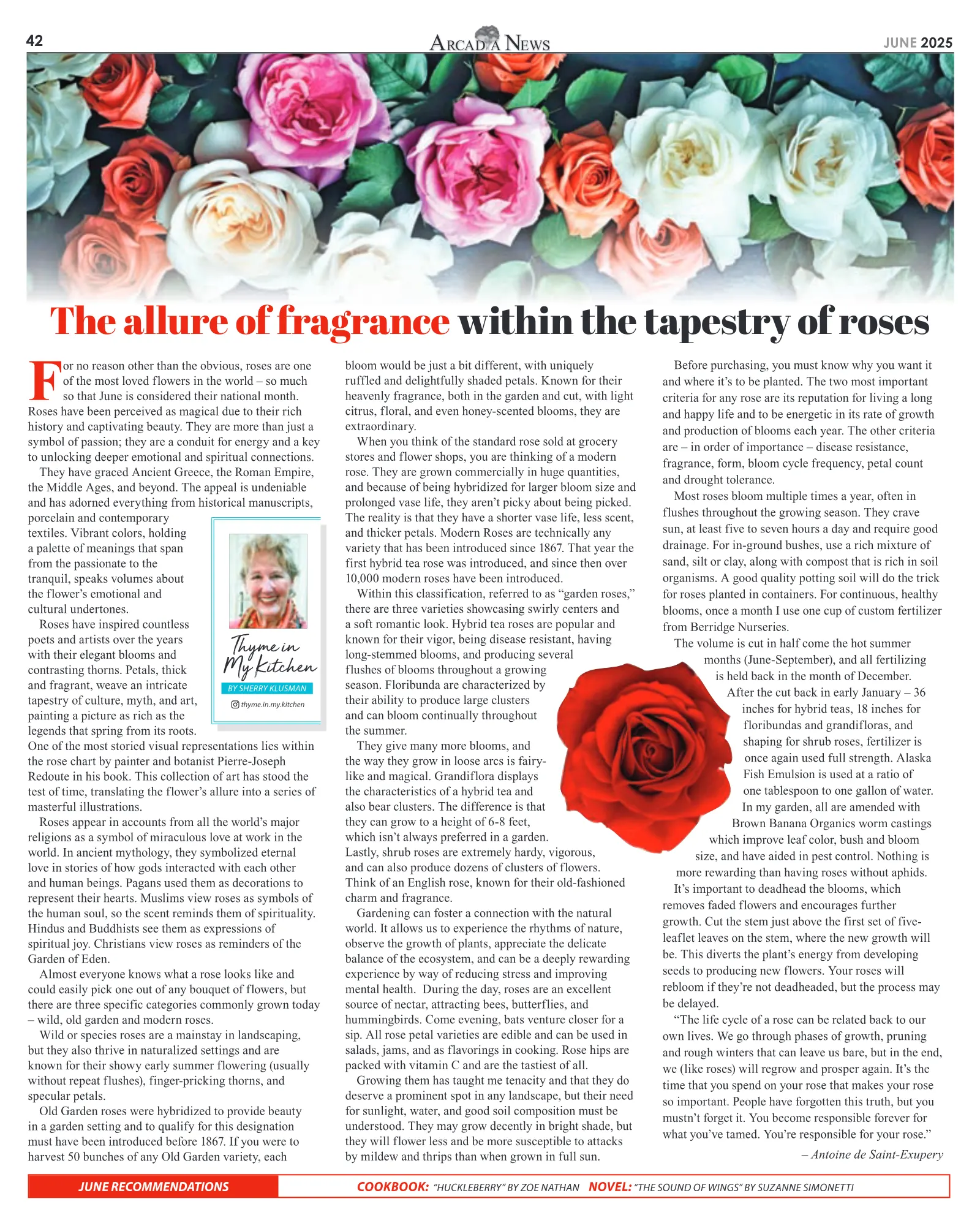 June 2025, page 42