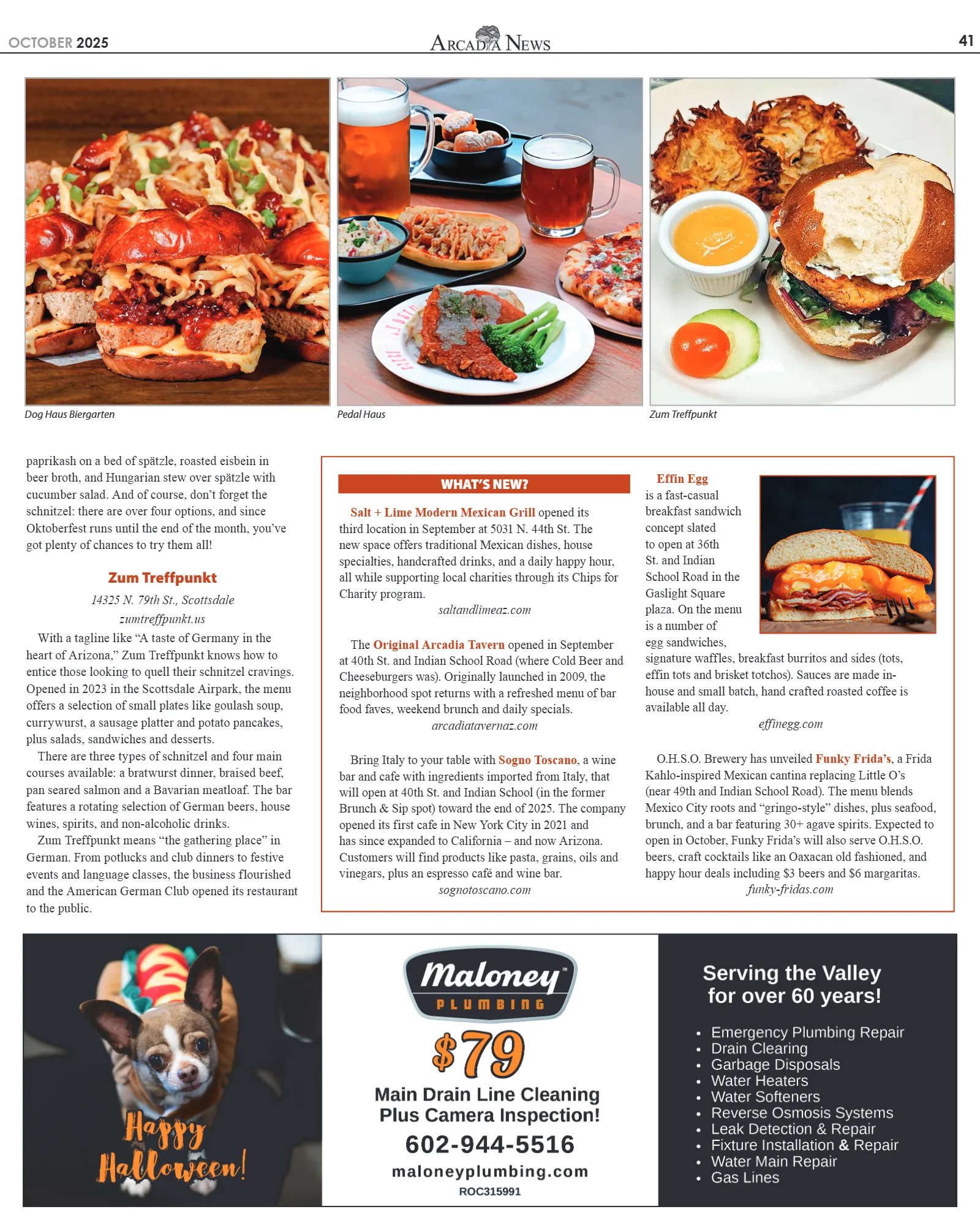 October 2025, page 41