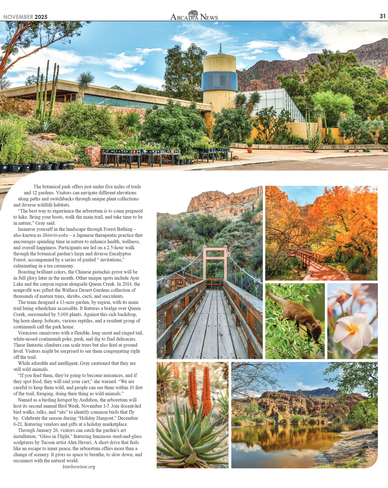 November 2025, page 31