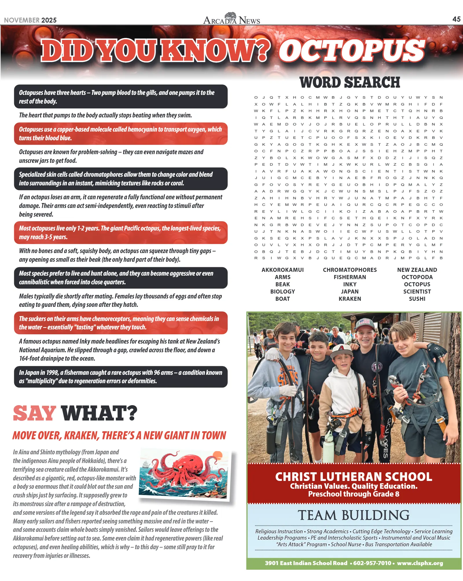 November 2025, page 45