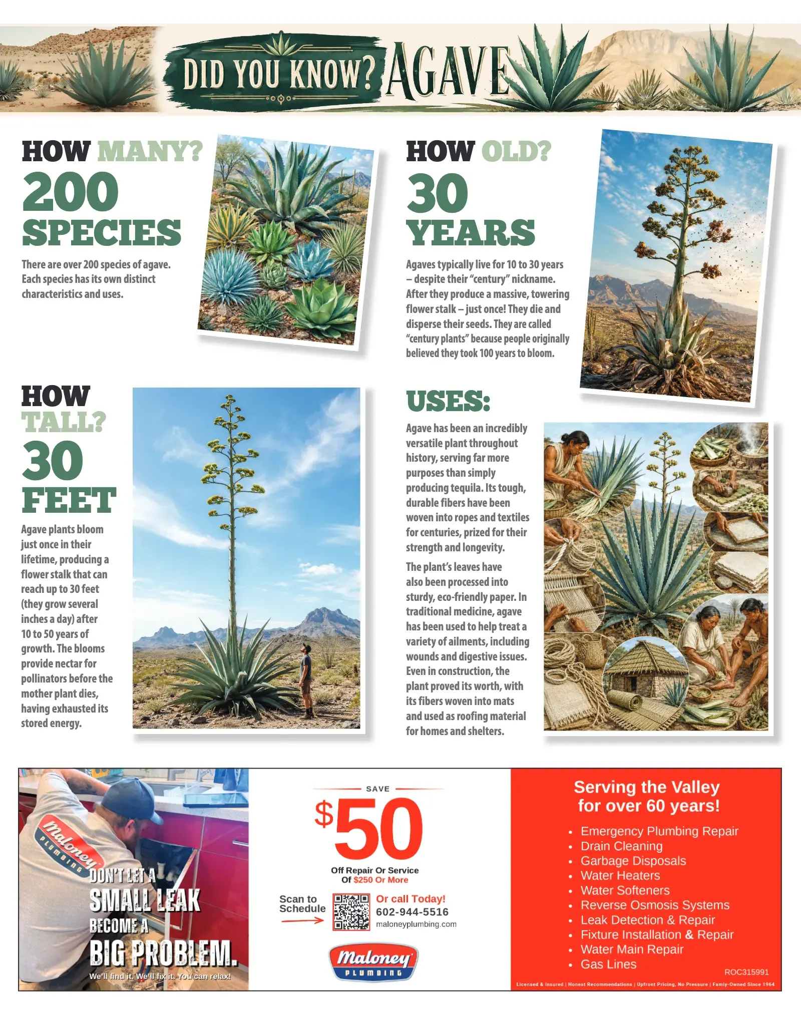 August 2026, page 36