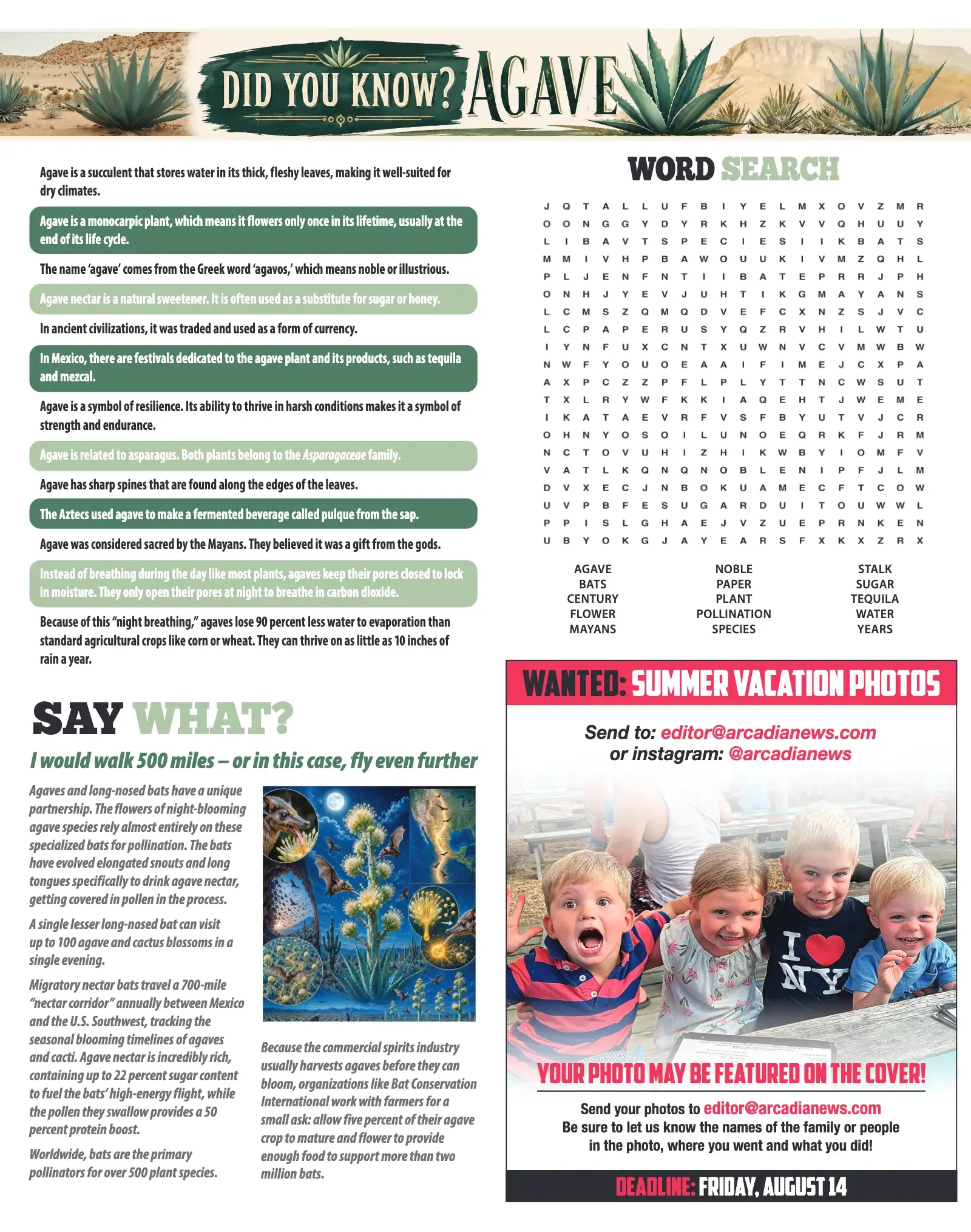 August 2026, page 37