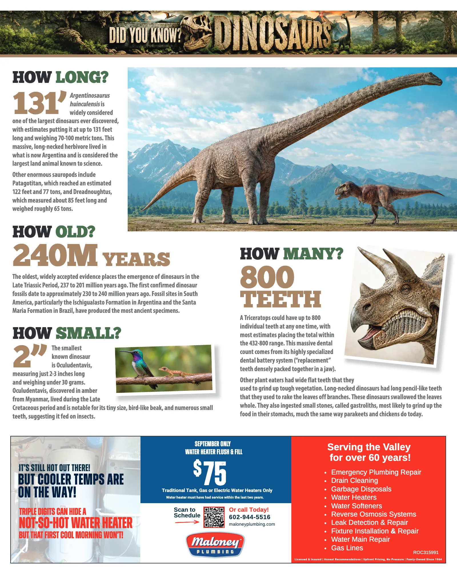 September 2026, page 44