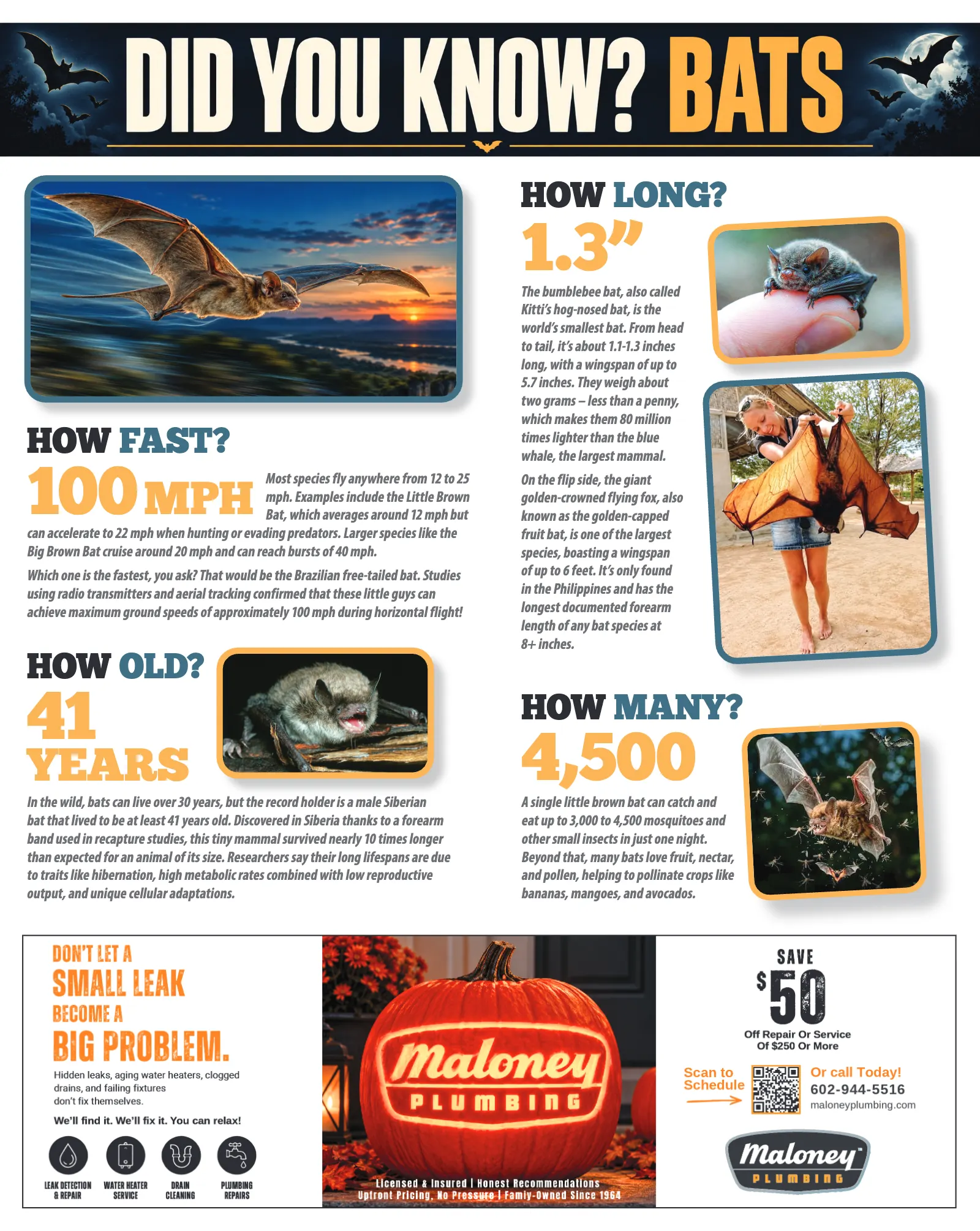 October 2026, page 40